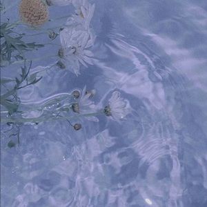 Meet your Posher, Adriana